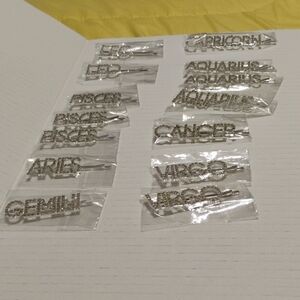 HAIR ACCESSORIES BLING HAIR PINS Birthday Astrology Signs